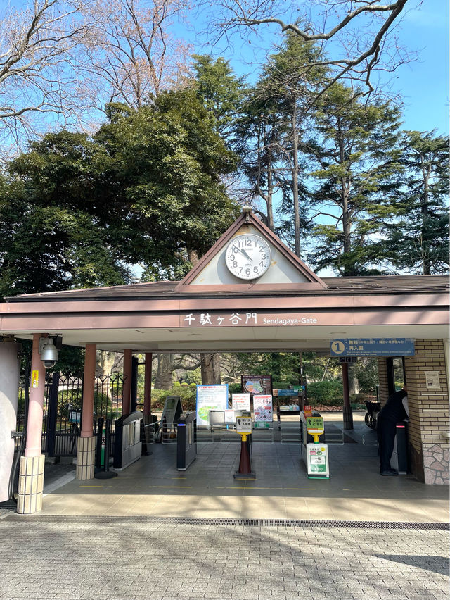 【新宿御苑/東京都】庭園と花が楽しめる場所