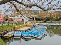 Hirosaki Park 