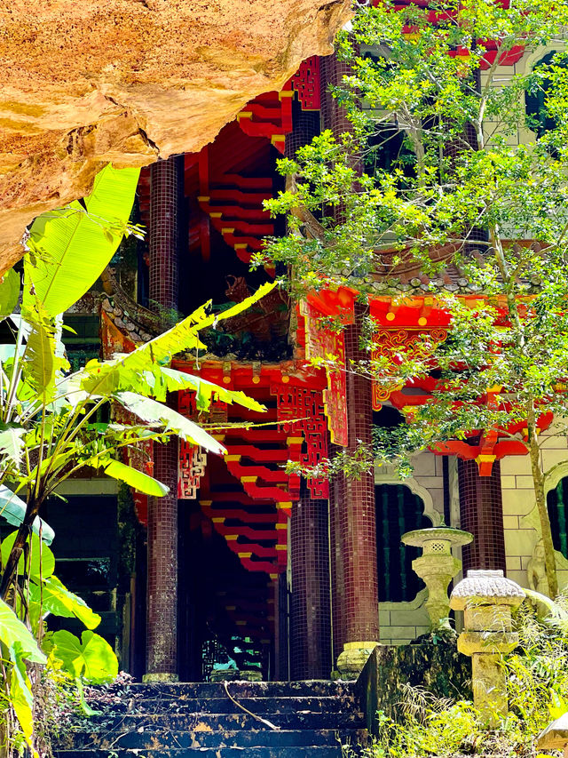 Unique Place You Shouldn’t Miss To Visit!✨🌳 Unique Place You Shouldn’t Miss To Visit!✨🌳