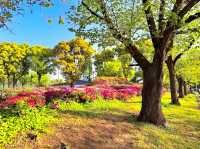 Ukima Park