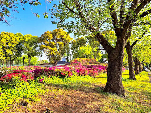 Ukima Park