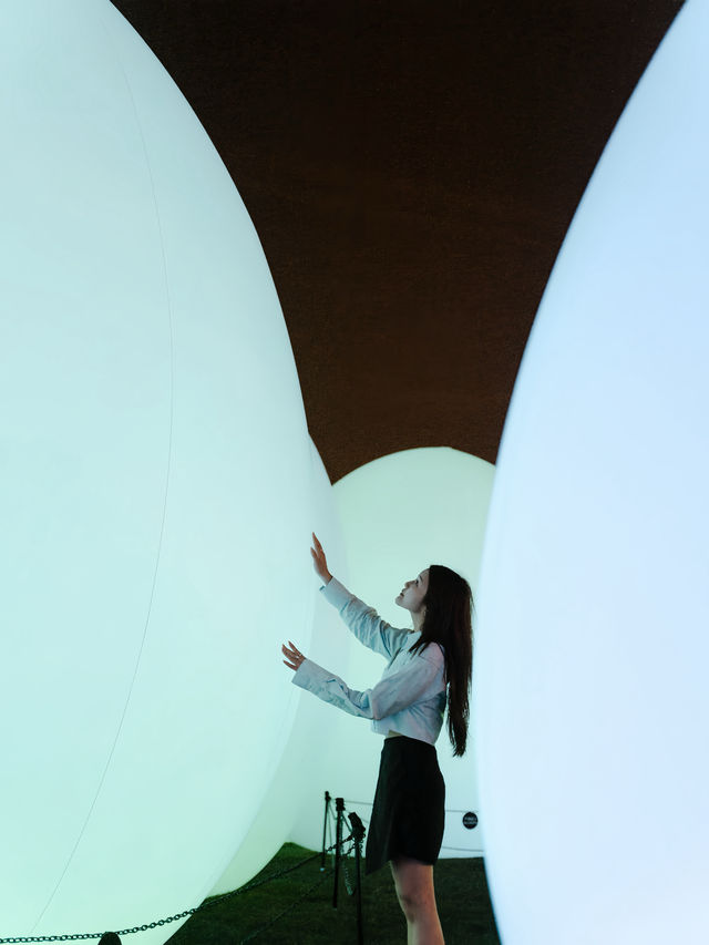 香港teamLab：光漣｜藝術@維港2024期間限定