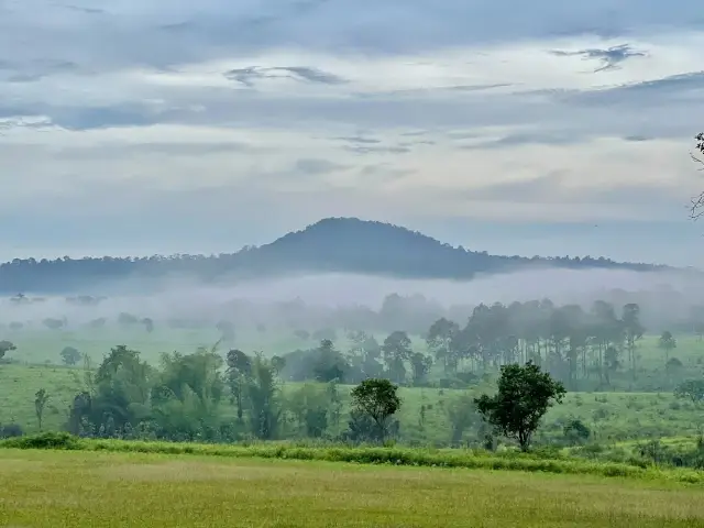 อุทยานแห่งชาติทุ่งแสลงหลวง