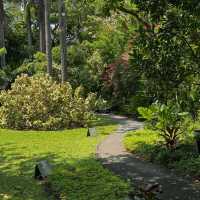 MiVana Organic Forest Coffee