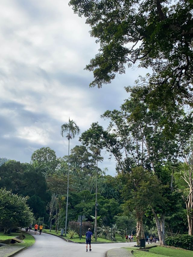 Tranquil Penang Botanjc Gardens 🇲🇾