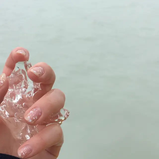 ニュージーランド【氷河クルーズ】🇳🇿