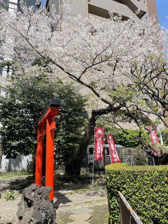 【横濱厳島神社/神奈川県】大安日は銭洗弁天社でお参り