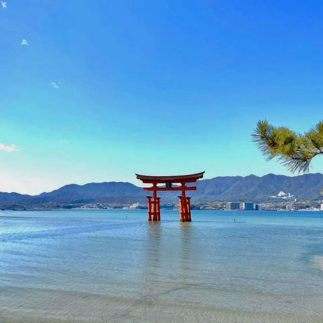 Mystical Serenity: exploring the floating Torii Gate! 🏯✨🌊