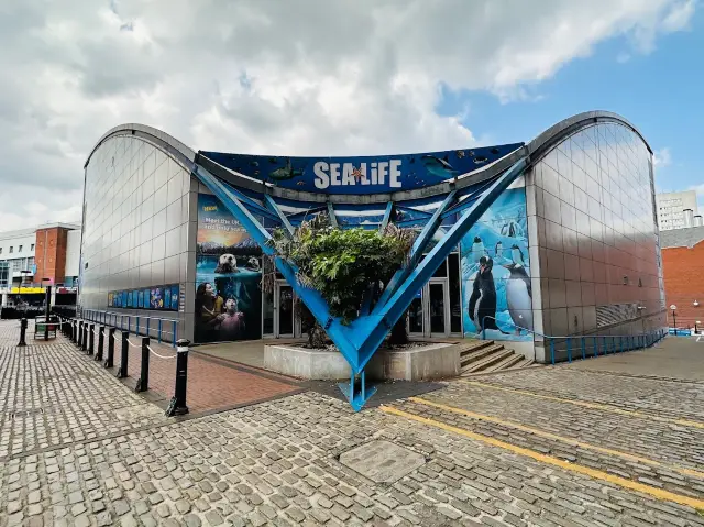 My Journey🤩into the Blue Sea Life💙🐟 in UK🇬🇧