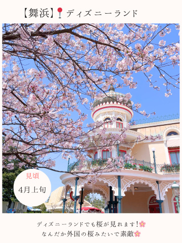 圧巻のわに塚の一本桜🌸×富士山🏔 | Trip.com 韮崎