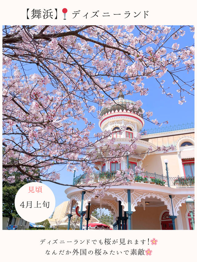 お花見桜スポット16選🌸【関東編】