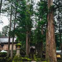 篠慄恩山寺：千年歷史，感受悠久文化