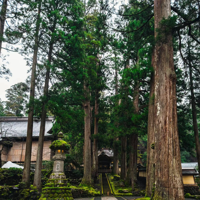 篠慄恩山寺：千年歷史，感受悠久文化