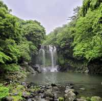 翰林公園：最美景點，適合半日、一日遊