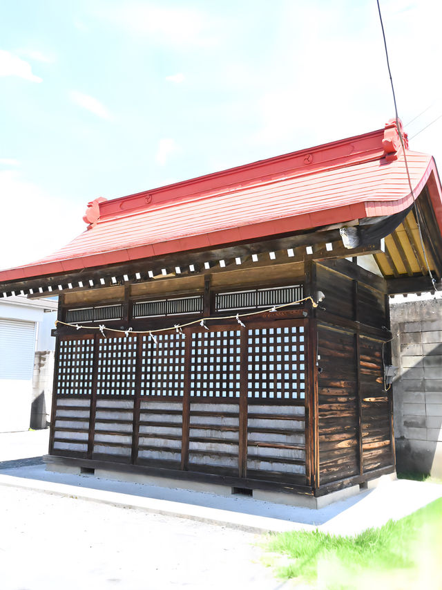 【北秋津八雲神社/埼玉県】神輿の火渡りが行われる
