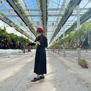 【茨城】超好拍！空中草莓園！