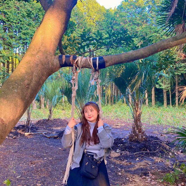 제주 숲이 너무 아름다운 안돌오름 비밀의 숲🌳🚙