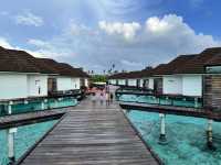 The Maldives-Paradise living with nature