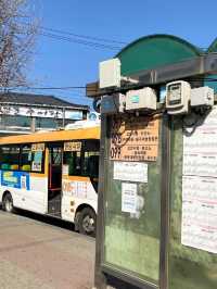 京畿道《高陽市》シーズンごとに楽しめる幻想的カフェ