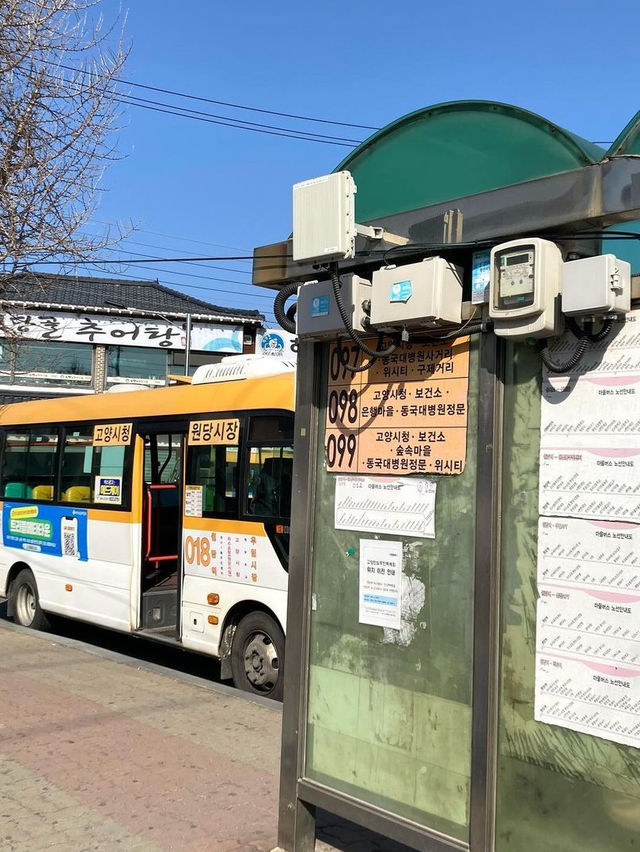 京畿道《高陽市》シーズンごとに楽しめる幻想的カフェ