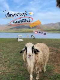 เขื่อนปราณบุรี