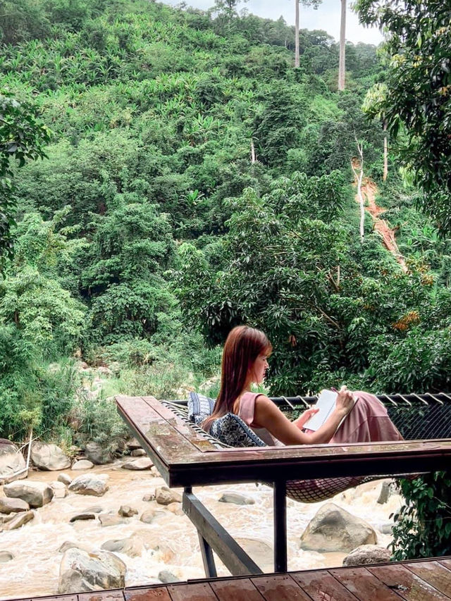 Stay Wild & Café ที่พักและคาเฟ่ริมลำธารสุดชิล🌿