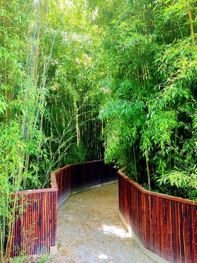 This is NOT in Japan or China. Guess Where?