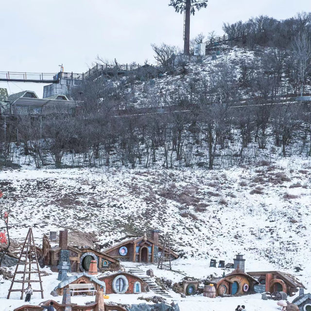 安努普利國際滑雪場🎿頂級滑雪設施，冬日滑雪勝地