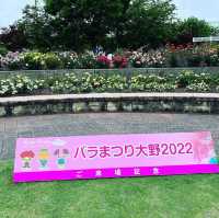 大野町バラ公園