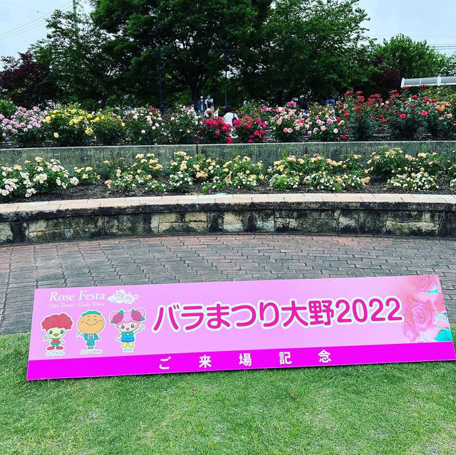 大野町バラ公園