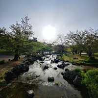 岡谷湖畔公園：春天好去處，適合漫步和欣賞大自然