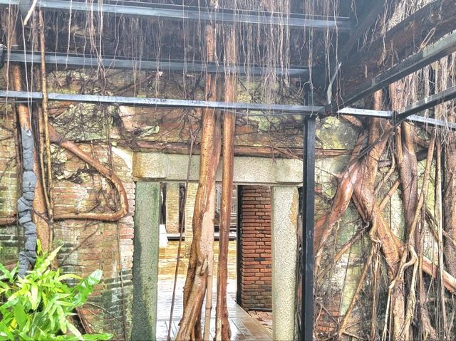 台南｜安平樹屋