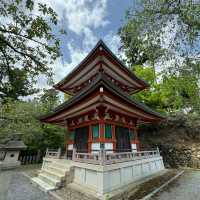 小國神社：日本神道文化的優質目的地，悠久歷史傳統，感受神聖氛圍