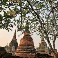 วัดพระศรีสรรเพชญ์ ต้นแบบวัดพระศรีรัตนศาสดาราม 