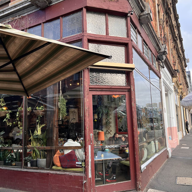 Black Cat Cafe Melbourne