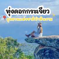 ชมธรรมชาติหน้าฝน ยลเสน่ห์ดอกกระเจียว🌷