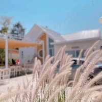 สุมหัวCafe & Restaurant ☕☕☕