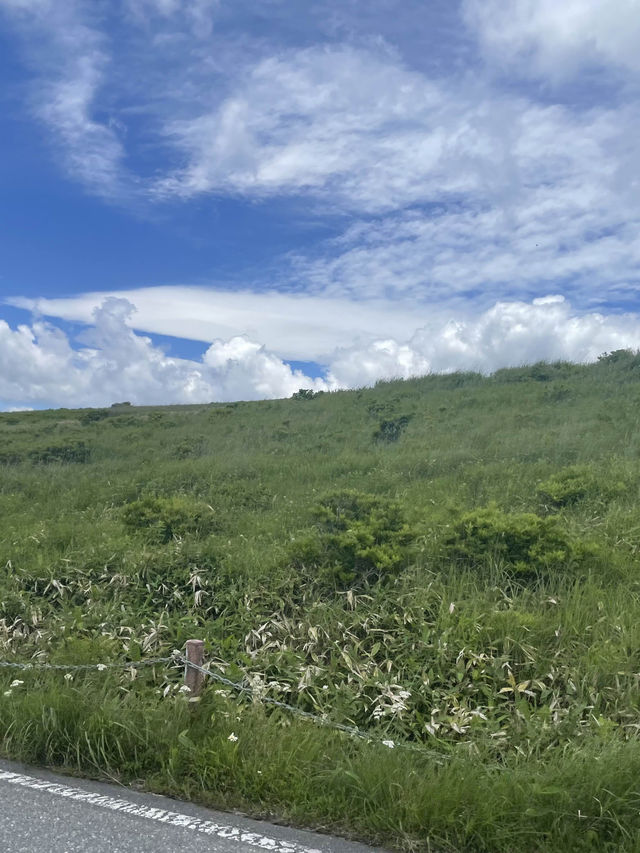 【長野県/諏訪市　夏でも涼しい霧ヶ峰に咲く黄色い花”ニッコウキスゲ”】