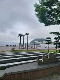 수국꽃길 만발한 힐링 휴식공간 아미르공원💜
