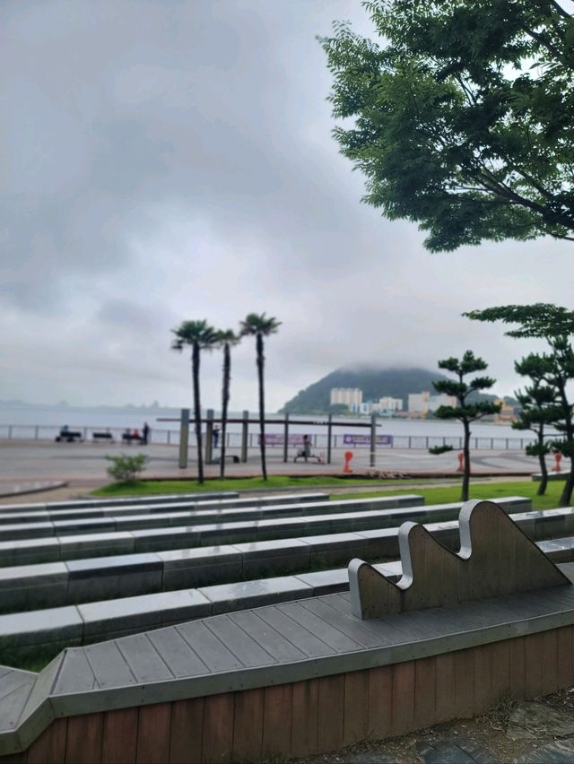 수국꽃길 만발한 힐링 휴식공간 아미르공원💜