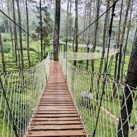 A Blooming Paradise in Bandung