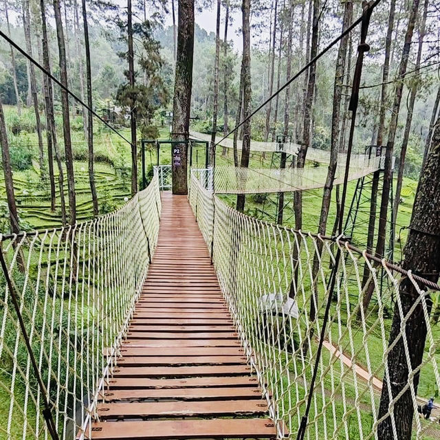 A Blooming Paradise in Bandung