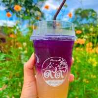 👉บ้านเลขที่ 99 ขนมไทยครบเครื่องสูตรชาววัง