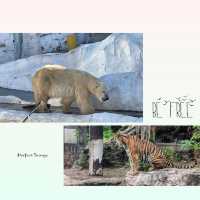 交通便利嘅動物園