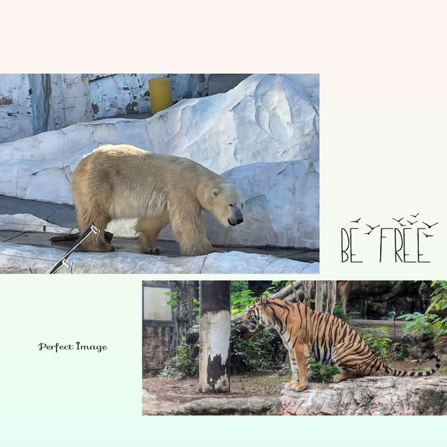 交通便利嘅動物園