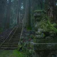 滝山に鎮座する苔むすの神社
