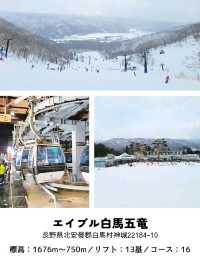 【長野】スキー場「白馬エリア」おすすめ 5選