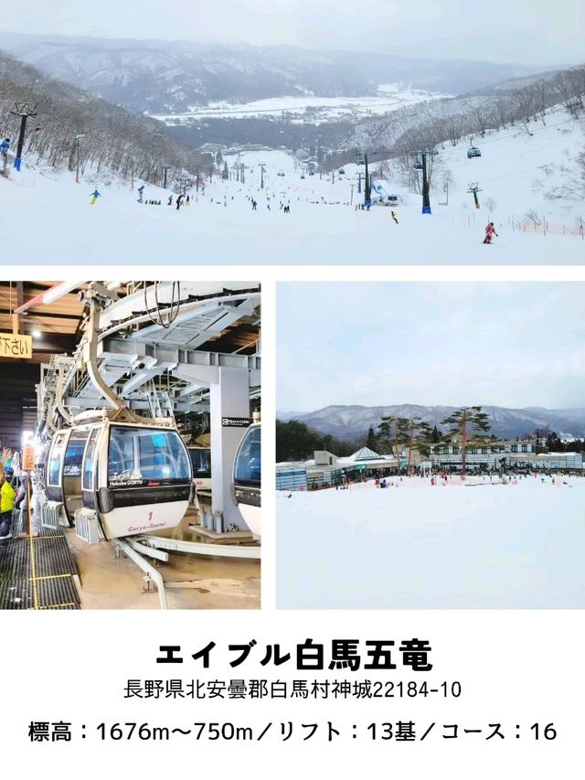 【長野】スキー場「白馬エリア」おすすめ 5選
