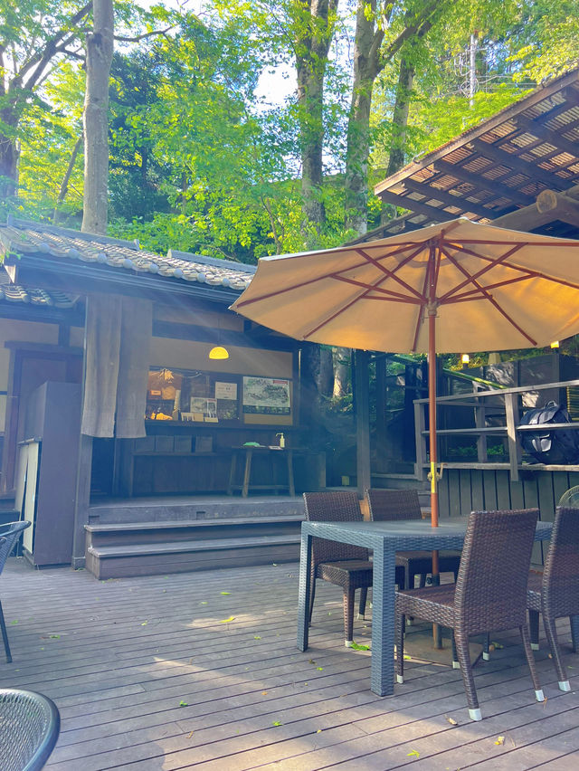 【東京】この夏ぜひ行って!!川遊びもできちゃう涼スポット🎐