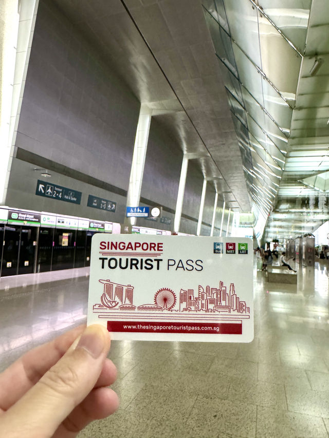 シンガポール　シンガポール観光　MRTチャンギエアポート駅は大きくて綺麗だぞ！
